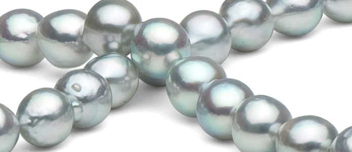 perles de culture d'Akoya du Japon bleues